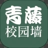 青藤校园墙